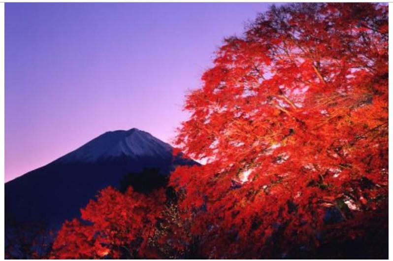 别墅 Erable Mt.fuji 